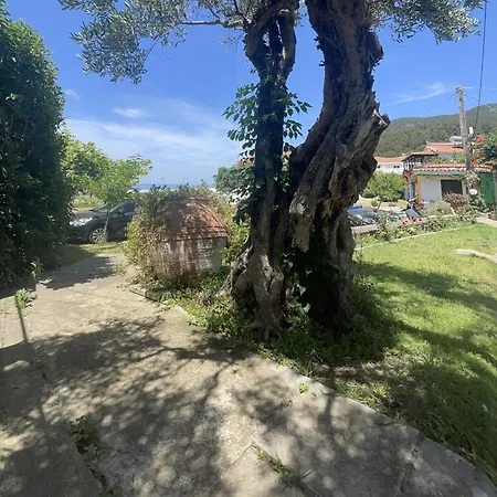 Apartment Eleni Del Sol Skopelos Town