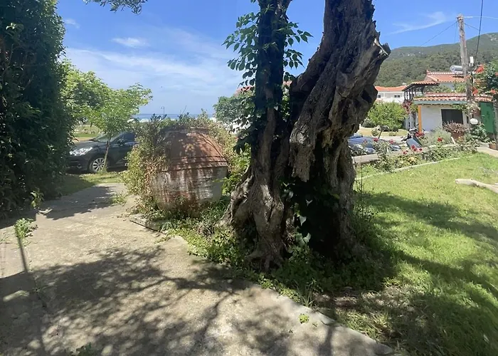 Apartment Eleni Del Sol Skopelos Town